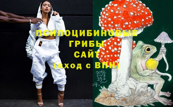 кокс Чекалин