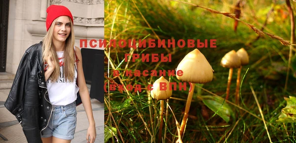 MESCALINE Шали