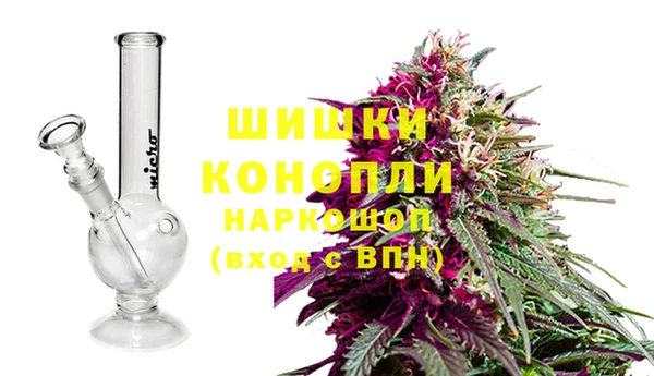 apvp Чегем